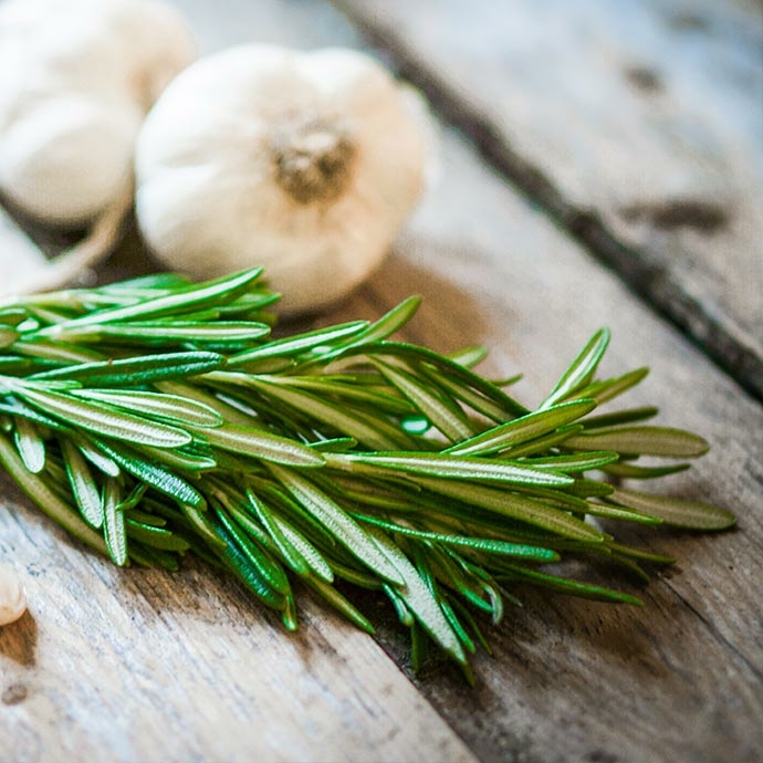 mesepices-format-condiments-feuilles